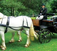 Choosing your wedding transport