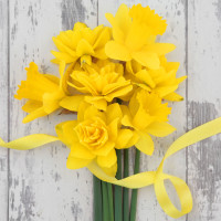 Trend Watch: Mellow Yellow set to Brighten up Weddings this Spring   